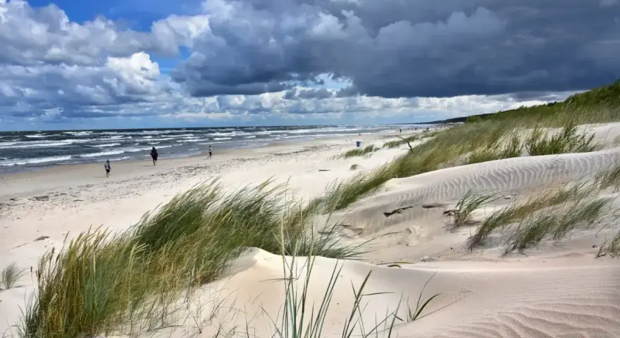 Piaszczyste wydmy porośnięte trawą morska, z widokiem na wzburzone morze i niebo z chmurami. Idealne kąpielisko na mierzei wiślanej.