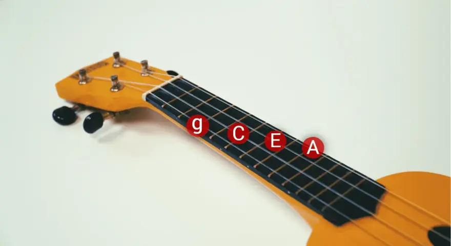 Nahaufnahme eines gelben Ukulelenhalses mit den Noten G, C, E, A als gitarrensaiten beschriftung auf roten Kreisen.
