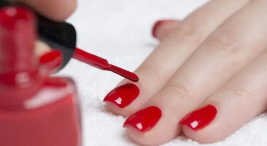 Dopo il primer unghie, si applica lo smalto rosso brillante. La mano è pronta per la manicure.