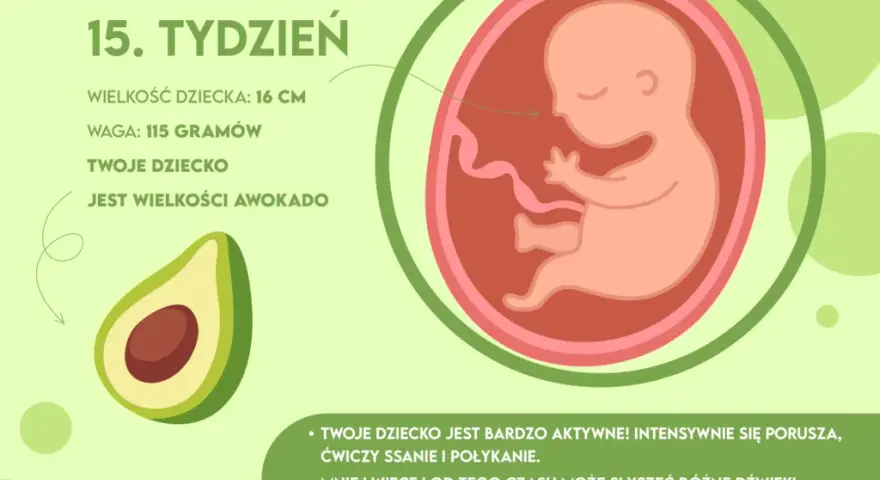 16. tydzień ciąży: Awokado w brzuchu! Co dzieje się z Tobą i dzieckiem?
