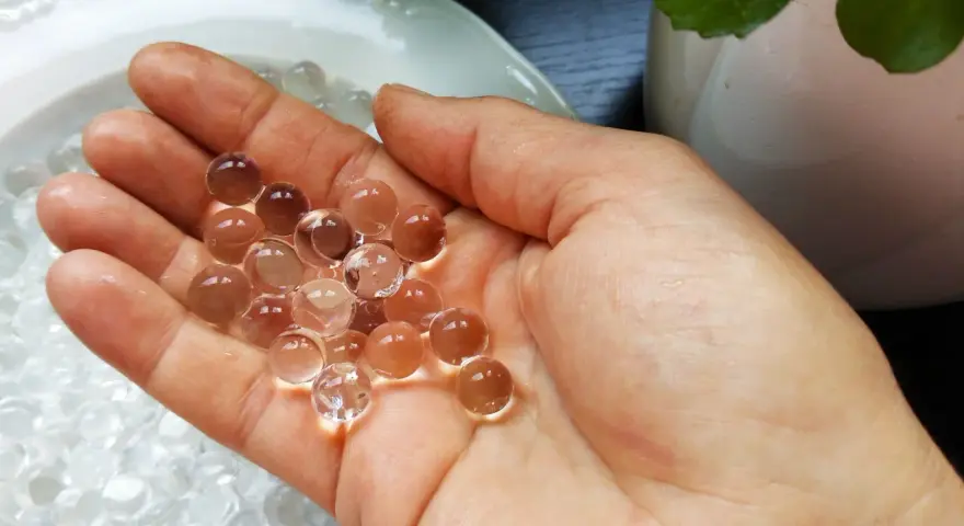 Dłoń trzymająca kulki hydrożelu, które są gotowe do użycia. Dowiedz się, jak stosować hydrożel, by zapewnić roślinom optymalne nawodnienie.