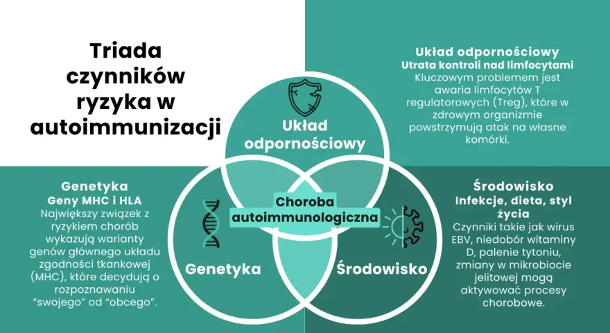 Diagram przedstawiający triady czynników ryzyka w autoimmunizacji: układ odpornościowy, genetyka i środowisko.