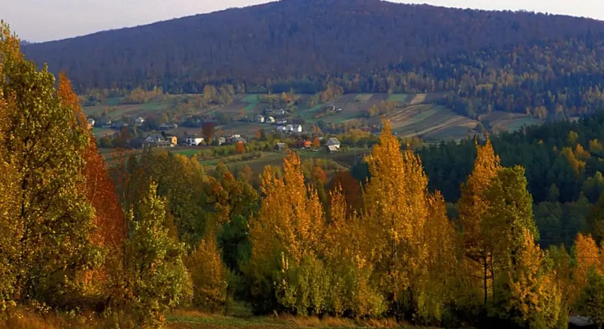 Jesienny krajobraz z kolorowymi drzewami i domami w dolinie. W tle widać łagodne **góry świętokrzyskie szczyty** porośnięte lasem.