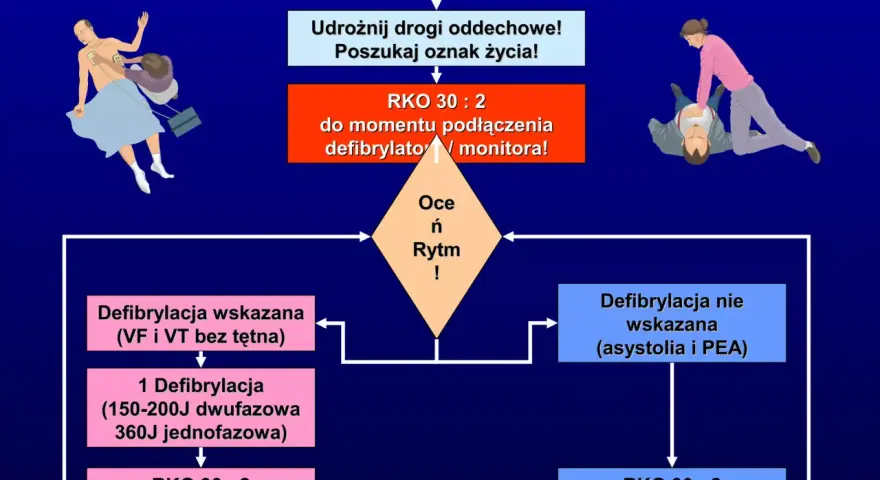 Algorytm ALS: nie reaguje? Udrożnij drogi oddechowe, poszukaj oznak życia. RKO 30:2 do momentu podłączenia defibrylatora. To kluczowe w pierwszej pomocy.