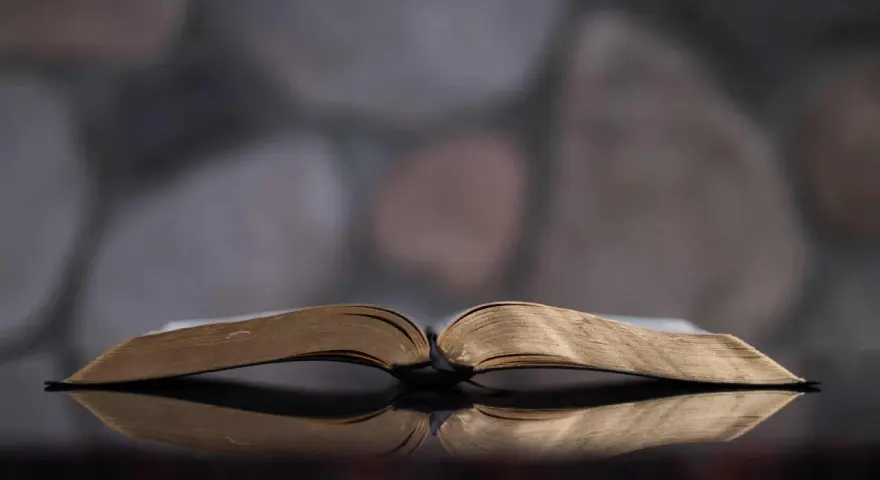 An open Bible reflects on a dark surface, symbolizing the scriptural basis for why Jehovah's Witnesses don't celebrate Christmas.