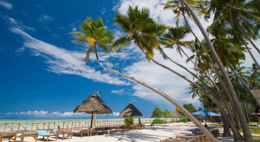 Rajska plaża z palmami i leżakami. Zastanawiasz się, ile się leci na Zanzibar? Tu odpoczniesz od zgiełku.