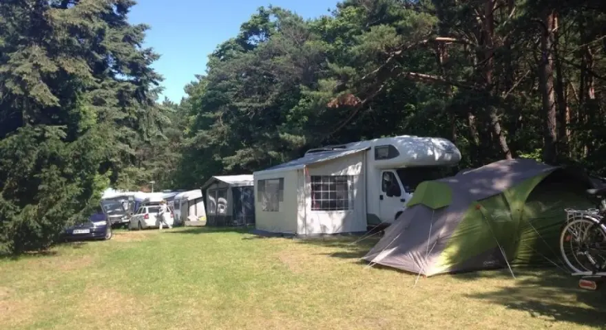 Caravaning w Juracie: kamper, namiot i samochody na zielonym polu pod drzewami.
