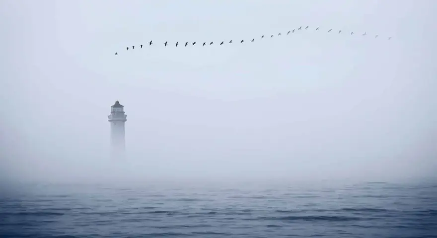 Ein Leuchtturm ragt aus dichtem Nebel, während eine Vogelschar über dem ruhigen Meerformationen zieht. Ein einsames Schiff im Nebel.
