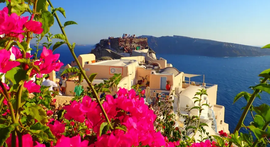 Vibrant pink bougainvillea frames a view of Santorini, Greece. People gather on ancient ruins overlooking the Aegean Sea, a perfect spot for sunset views.