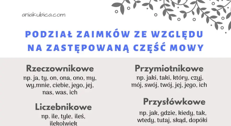 Podział zaimków ze względu na zastępowaną część mowy: rzeczownikowe, liczebnikowe, przymiotnikowe, przysłówkowe.