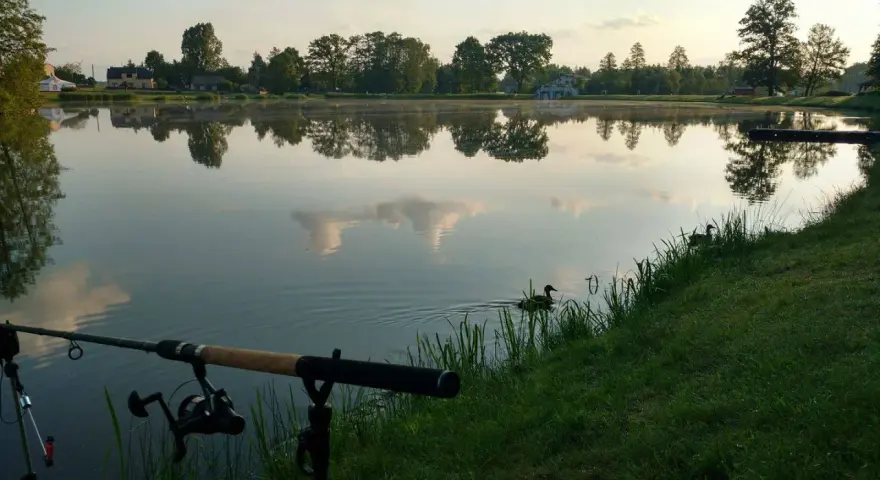 Spokojny poranek nad jeziorem Przeczyckim. Wędka czeka na branie, a kaczki pływają po tafli wody.