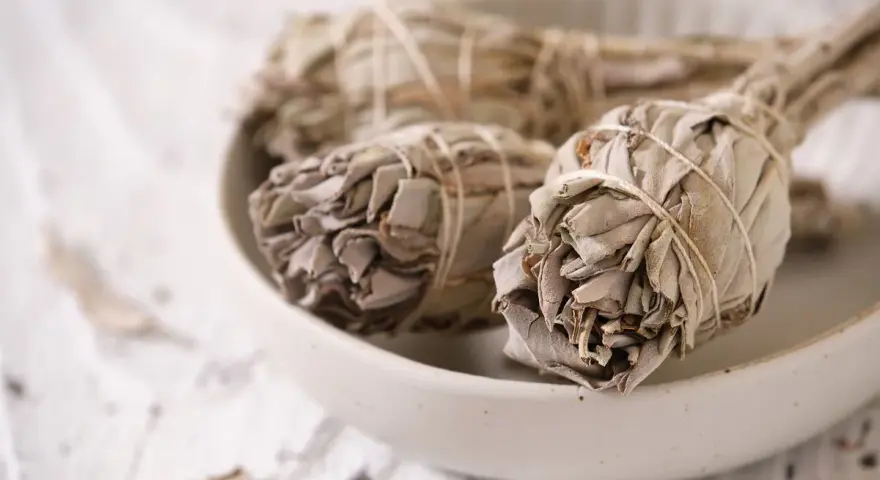 Trzy pęczki szałwii białej, związane sznurkiem, leżą w ceramicznej misie. Liście są suche, szaro-zielone, tworząc gęste, zwarte główki.