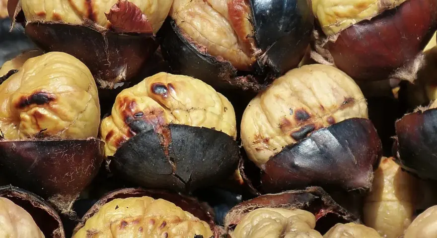Castañas asadas en freidora de aire, con la piel oscura y la pulpa dorada y tierna. ¡Un placer otoñal!