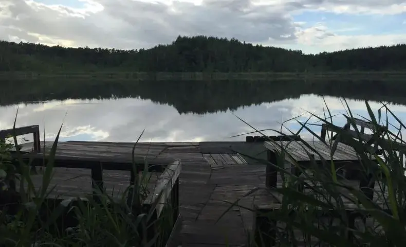 Jezioro Bolechowskie: piękno natury i tajemnice wędkarstwa w Puszczy Zielonce