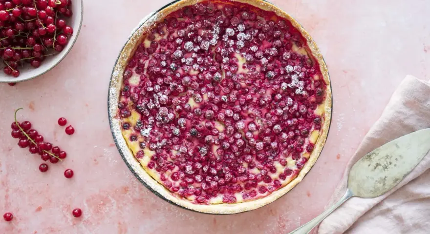 Saftiger Johannisbeerkuchen mit Schmand in einer Springform, bestäubt mit Puderzucker. Daneben eine Schale voller roter Johannisbeeren.