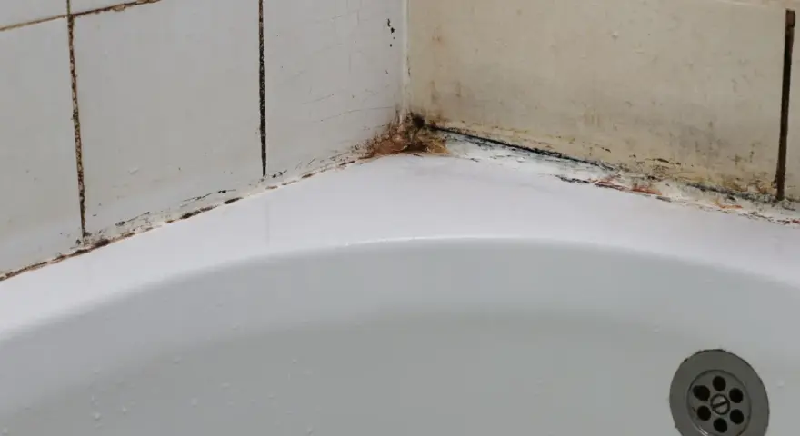 Coin de baignoire avec joints noircis et traces de moisissure salle de bain. Un coin de douche qui a besoin d'un bon nettoyage.