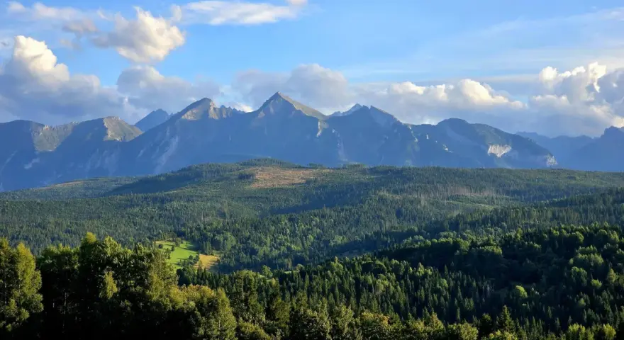 Widok na Tatry z przełęczy nad Łapszanką. Majestatyczne szczyty górskie, gęste lasy i błękitne niebo z chmurami.