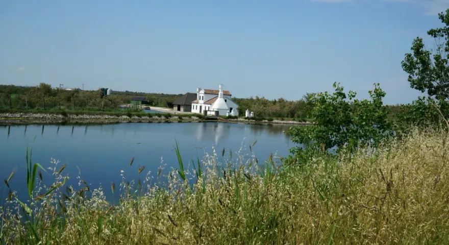 Biały dom z czerwonym dachem nad spokojnym pad rzeka, otoczony zielenią i wysoką trawą.