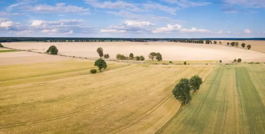 Ile kosztuje dzierżawa gruntu od miasta? Ceny, które zaskakują