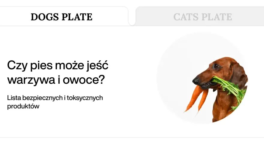 Jamnik z marchewką w pysku. Dowiedz się, co może jeść pies, aby był zdrowy i szczęśliwy.