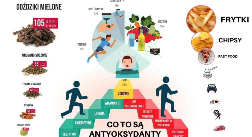 Goździki, oregano, tymianek, cynamon, rozmaryn, kwercetyna, glutation, witamina C, luteina to antyoksydanty. Kwas tioktynowy wspiera ich działanie.