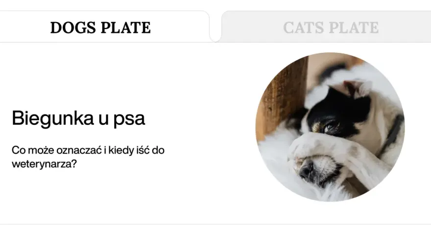 Chory piesek z zasłoniętymi oczami. Artykuł o biegunce i wymiotach u psa.