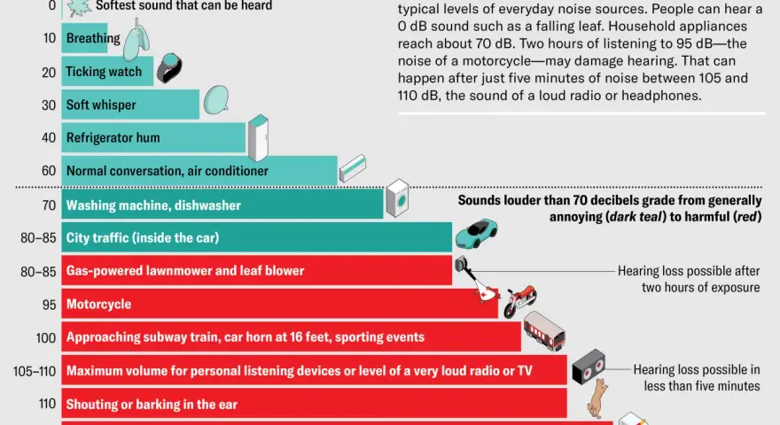 Graphique comparant les niveaux sonores quotidiens, de la respiration (10 dB) à un murmure doux (30 dB), jusqu'aux sirènes et pétards.