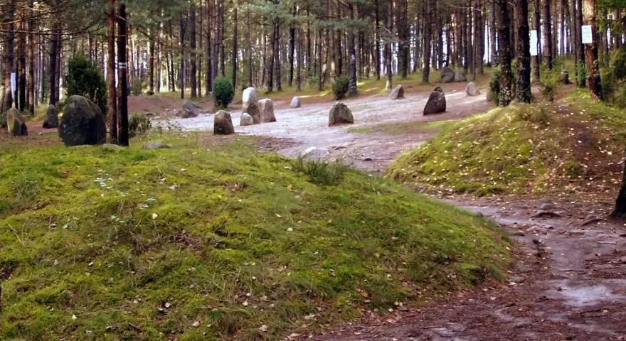 Kamienne kręgi Kaszuby, pradawne głazy w lesie, świadkowie historii.