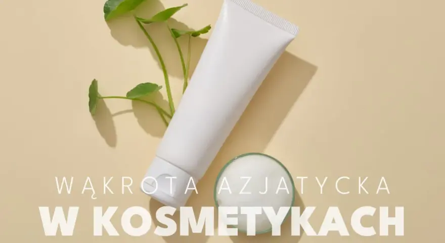 Biała tubka kosmetyku i gałązka z listkami. Wąkrota azjatycka w kosmetykach - naturalne składniki dla pięknej skóry.
