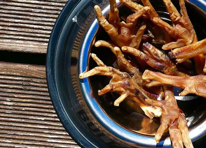 Jak przygotować kurze łapki dla psa – zdrowy przysmak, który pokochasz