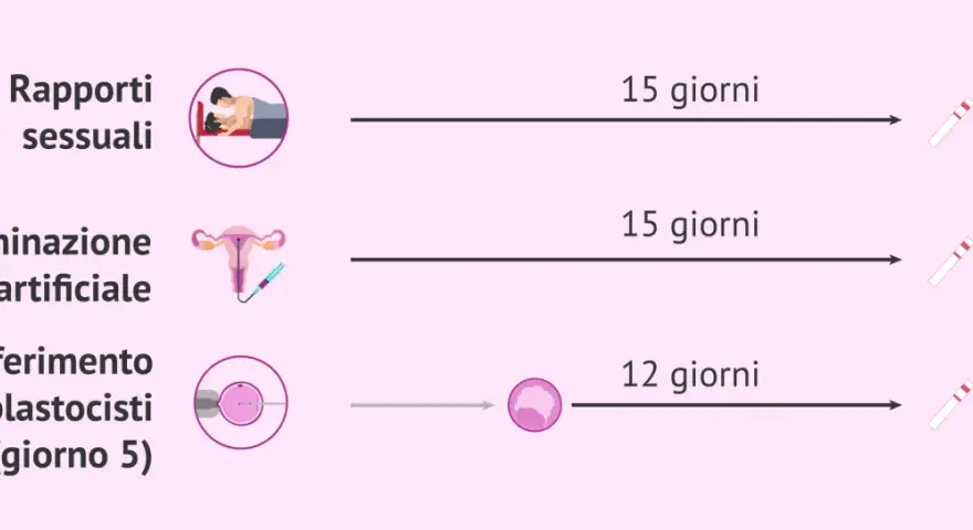 Quando fare il test di gravidanza: dopo 15 giorni da rapporti o inseminazione, 12 giorni dopo trasferimento blastocisti.