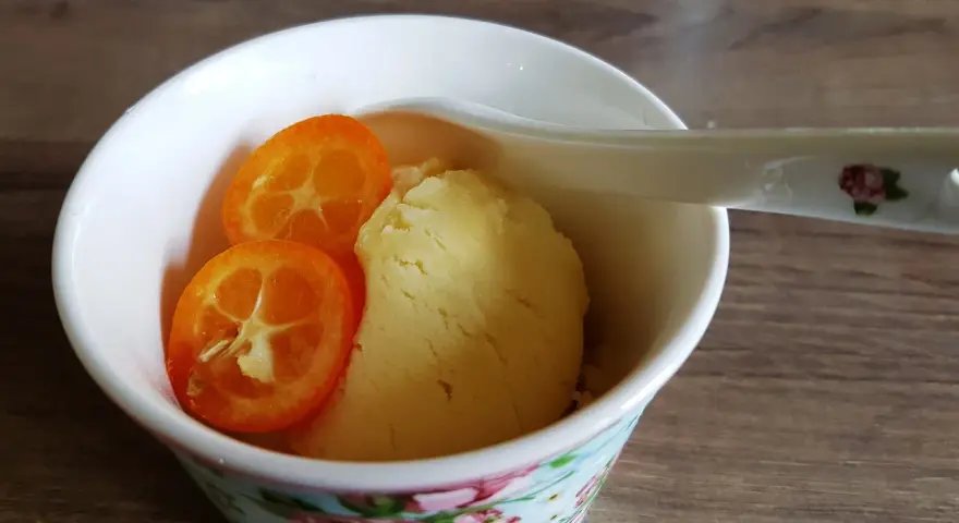 Erfrischendes Kalamansi-Sorbet in einer blumig dekorierten Schale, garniert mit zwei Scheiben der exotischen Frucht.