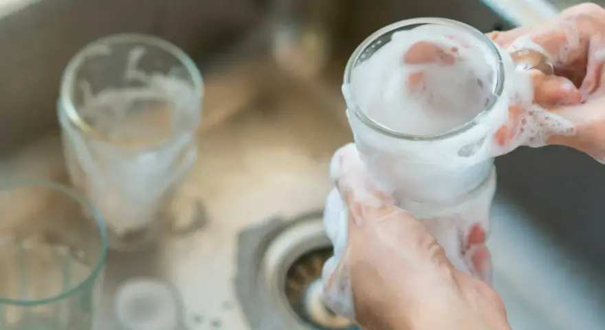 Händer tvättar glas med skum i diskho för att glaspest ta bort.
