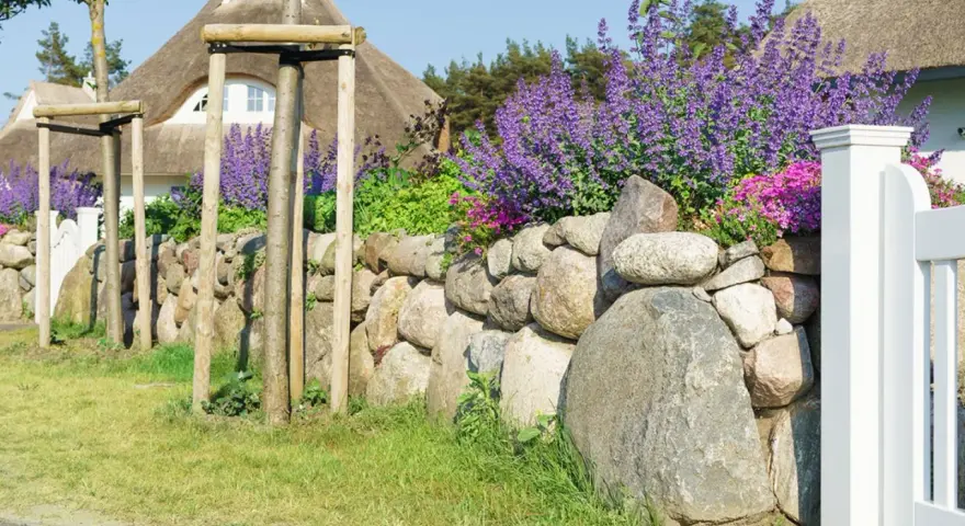 Natürliche Steingarten Ideen: Eine Steinmauer mit Lavendel und rosa Blüten, flankiert von jungen Bäumen und einem Reetdachhaus.