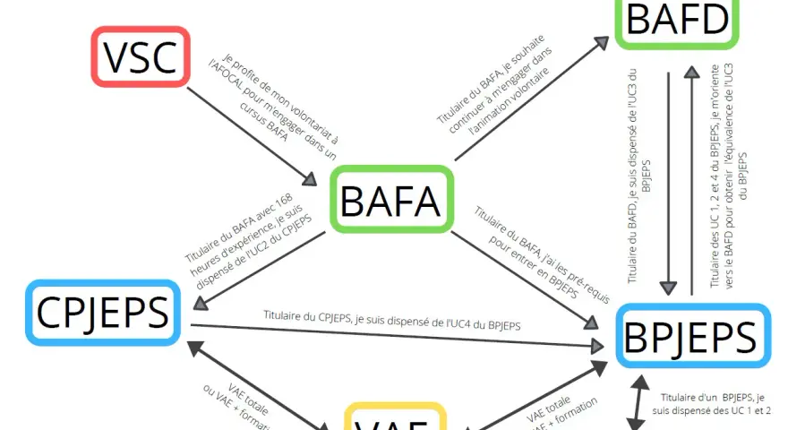 Schéma des parcours de formation : VSC, BAFA, BAFD, CPJEPS, BPJEPS, VAE.