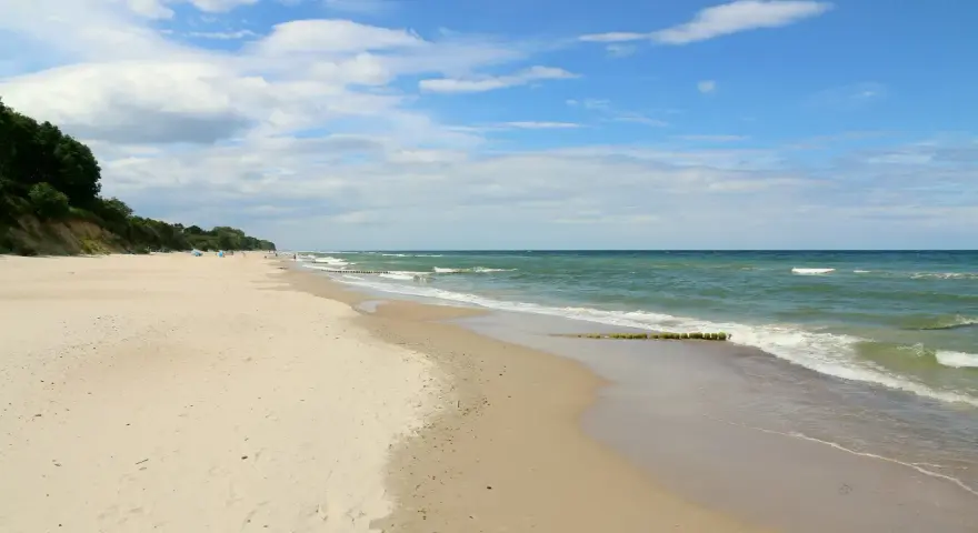 Plaża nad morzem, gdzie fale delikatnie obmywają piasek. W oddali widać zalesione wzgórze, a na niebie chmury. Idealne miejsce na spacer dla gąsek.