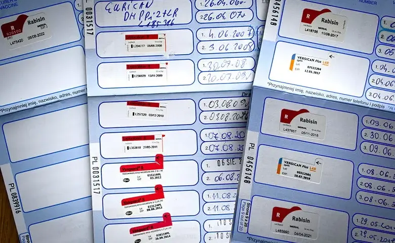Ile czeka się na paszport dla psa? Sprawdź, by uniknąć opóźnień