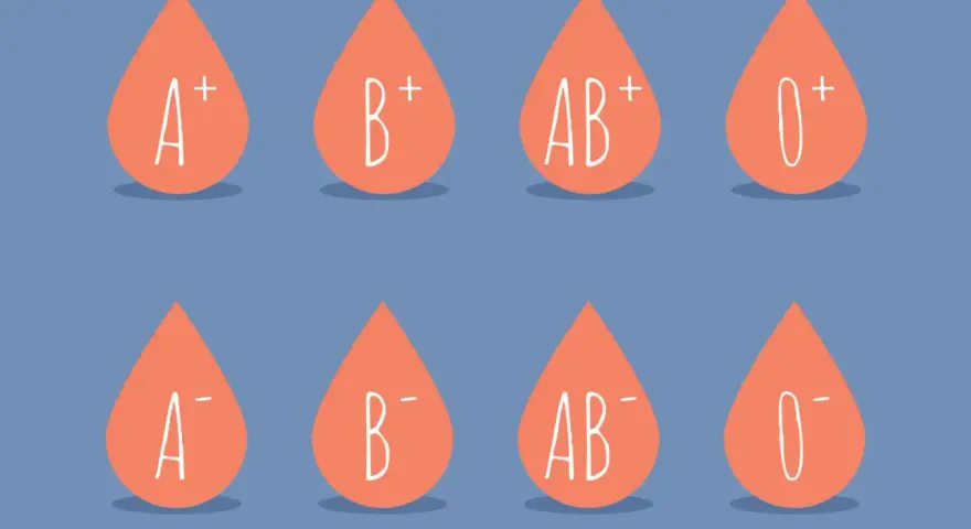 Osiem kropel krwi z oznaczeniami grup: A+, B+, AB+, 0+, A-, B-, AB-, 0-. Ilustracja pokazuje podstawy grup krwi dziedziczenie.