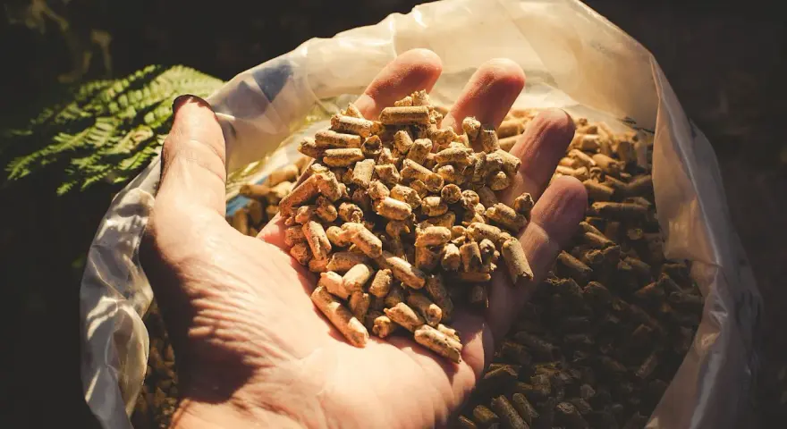 Mano che tiene un pugno di pellet, combustibile ecologico.