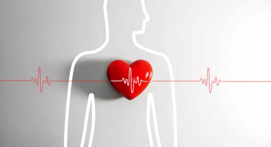 Czerwone serce z linią EKG na tle sylwetki człowieka. Zastanawiasz się nad kołataniem serca przyczyny?
