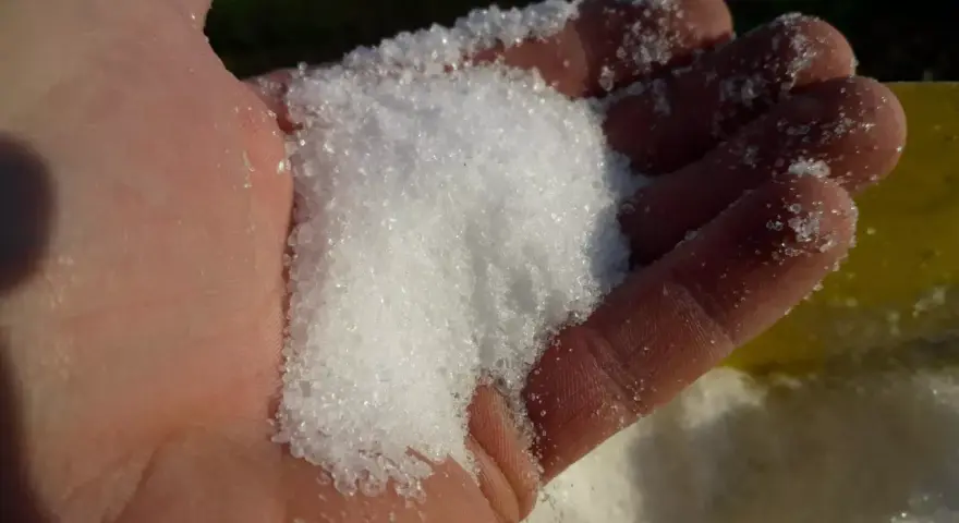 Siarczan magnezu zastosowanie w ogrodnictwie. Biały, krystaliczny proszek w dłoni, gotowy do użycia jako nawóz.