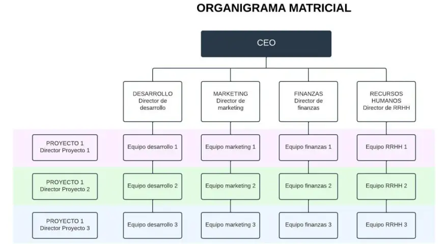 Organigrama matricial con CEO, directores de área (Desarrollo, Marketing, Finanzas, RRHH) y equipos de proyecto. Ejemplos de organigramas.
