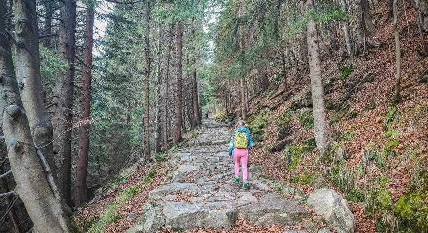 Dziecko z plecakiem wędruje kamienistym szlakiem przez las. Piękna **dolina Łomniczki** jesienią.
