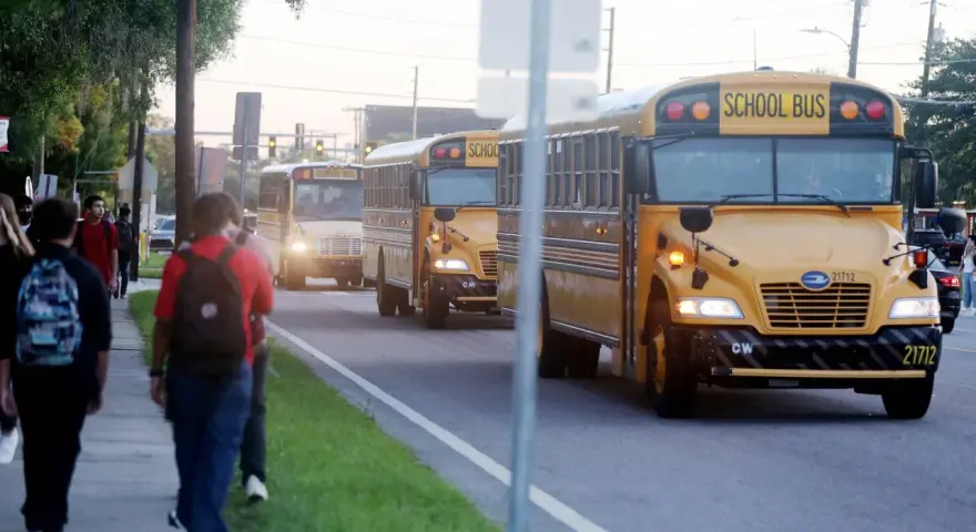 Schüler gehen zur Schule, während gelbe Schulbusse vorbeifahren. Denken Sie über die Kosten nach: wie viel kostet ein Auslandsjahr in Amerika?