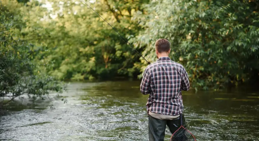 Mężczyzna w kratę łowi ryby w rzece. Woda sięga mu do pasa, a w ręku trzyma wędkę. W tle bujna zieleń drzew. To idealna przykosa na rzece.