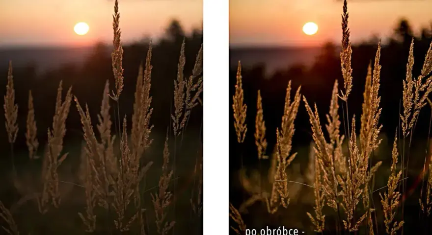 Złota godzina w fotografii. Trawa w słońcu, po obróbce nabrała ciepłych, złotych barw.
