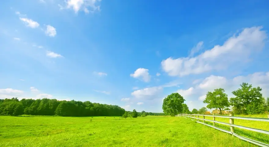 Zielona łąka, białe chmury na błękitnym niebie, płot i drzewa. To miejsce to przykład trwałe przekształcenie krajobrazu, gdzie natura harmonijnie współistnieje z człowiekiem.