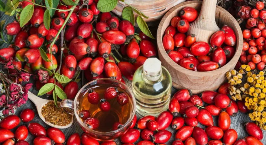 Frische Hagebutten, Tee, Öl und getrocknete Früchte – alles für leckere Hagebutten Rezepte.