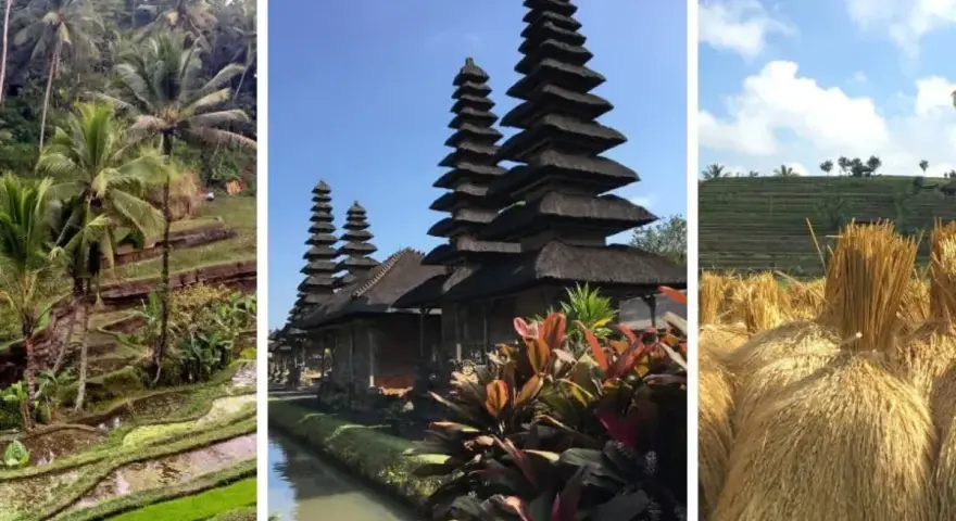Najpiękniejsze miejsca na Bali: Odkryj raj i zaplanuj podróż!