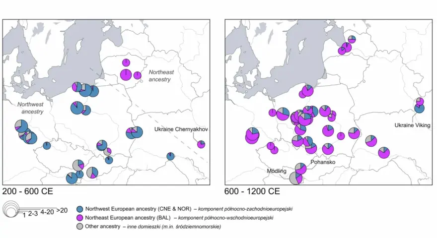 Mapy pokazujące kontaminację genetyczną w Europie Środkowej i Wschodniej między 200-600 a 600-1200 r. n.e.